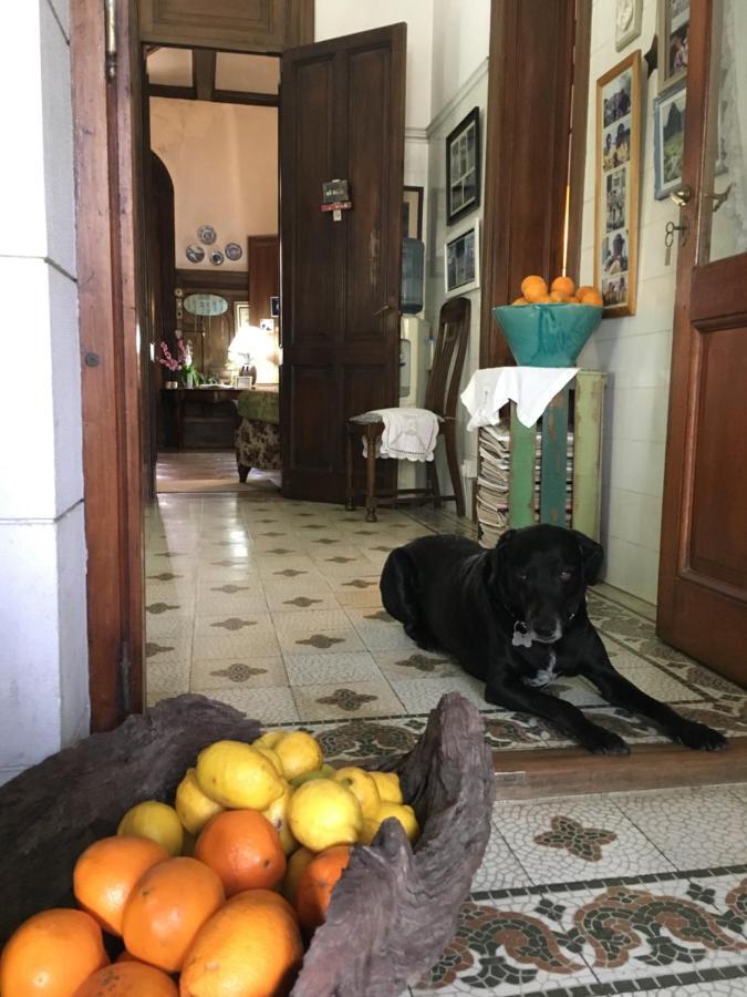 Bed and Breakfast Casa Ruchi 1893 Tigre Exteriér fotografie